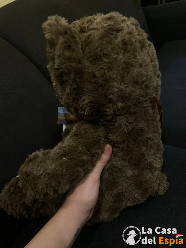 Oso de Peluche con Cámara Oculta 1080p – Transmisión en Vivo